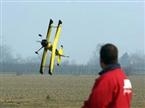 SebArt -  Pitts Python S50 giallo/nero